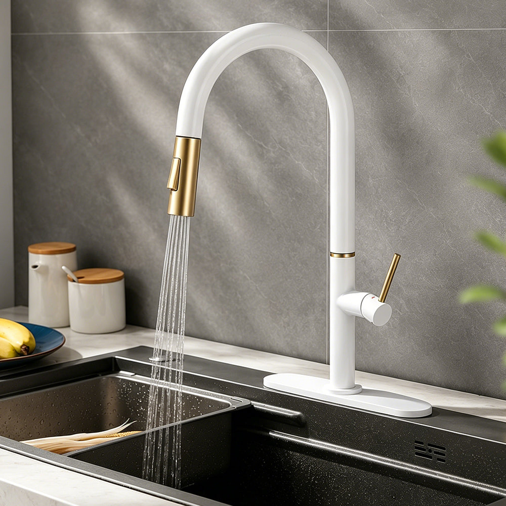 Kitchen Sink Faucet Pull Out Kitchen Faucet Tap Stainless Steel