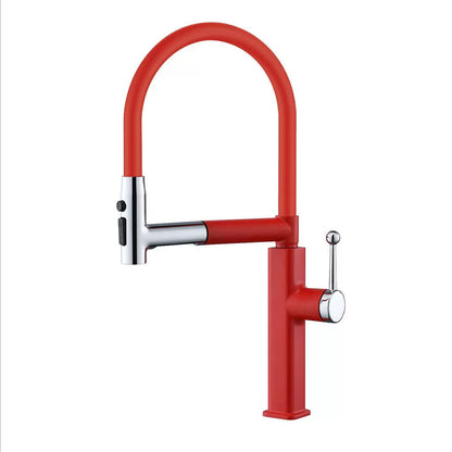 Pull-Down Kitchen Faucet with Flexible Spout and Single Handle