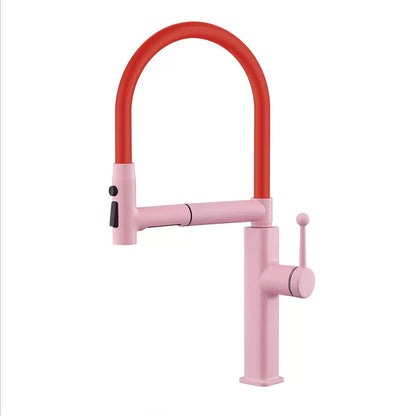 Pull-Down Kitchen Faucet with Flexible Spout and Single Handle