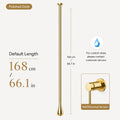 Polished Gold & Wall Mounted