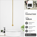 Polished Gold