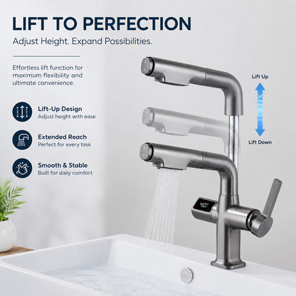 Digital Temperature Display Pull-Out Bathroom Faucet with Handheld Sprayer