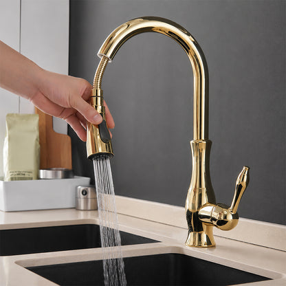 High-Arc Pull-Out Kitchen Faucet with Dual-Function Sprayer and 360° Swivel Spout