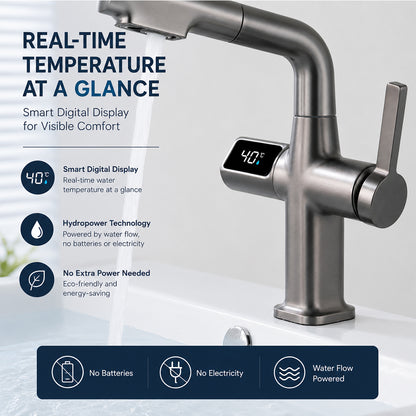 Digital Temperature Display Pull-Out Bathroom Faucet with Handheld Sprayer