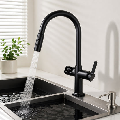 Digital Display Pull-Out Kitchen Faucet with 3 Spray Modes