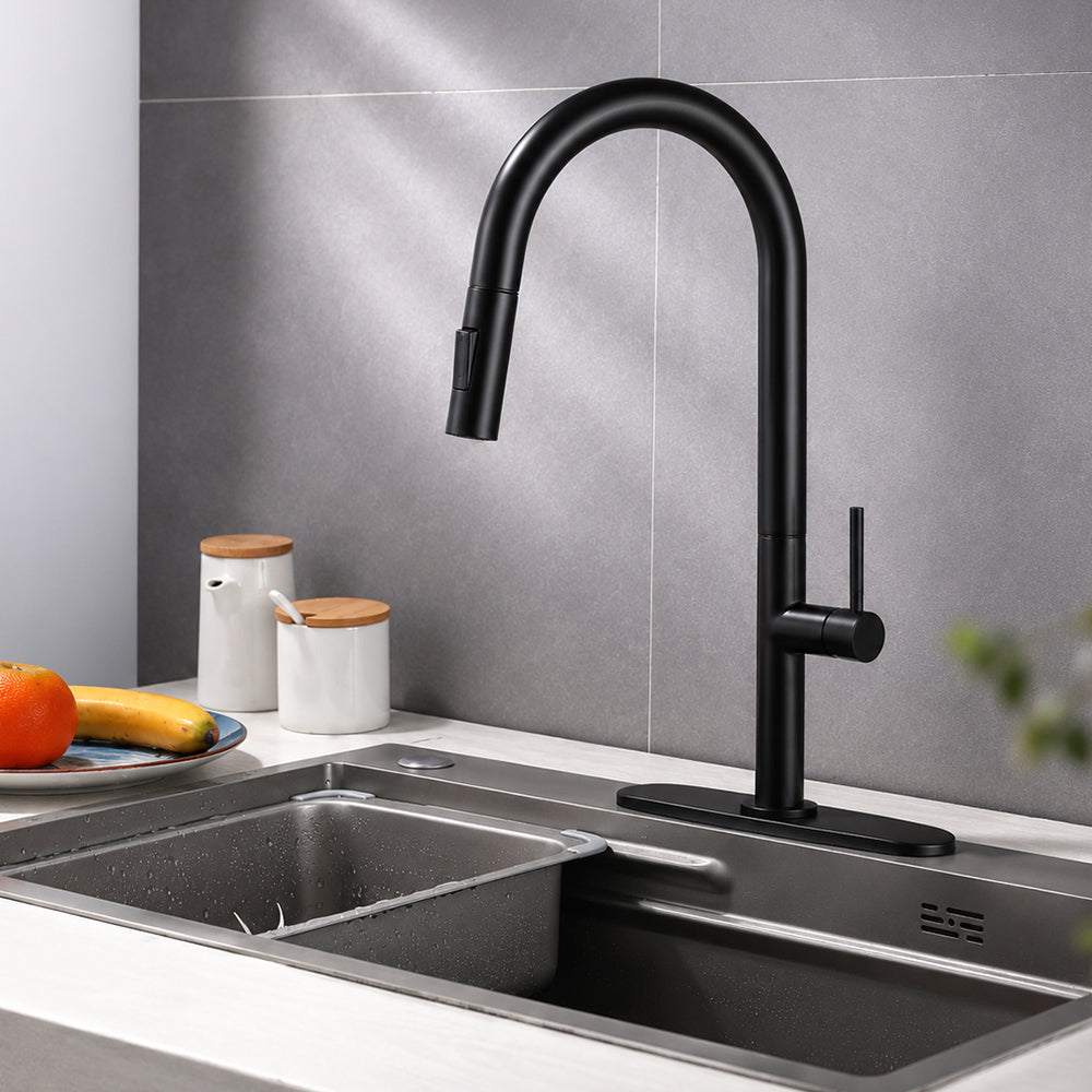 Kitchen Sink Faucet Pull Out Kitchen Faucet Tap Stainless Steel